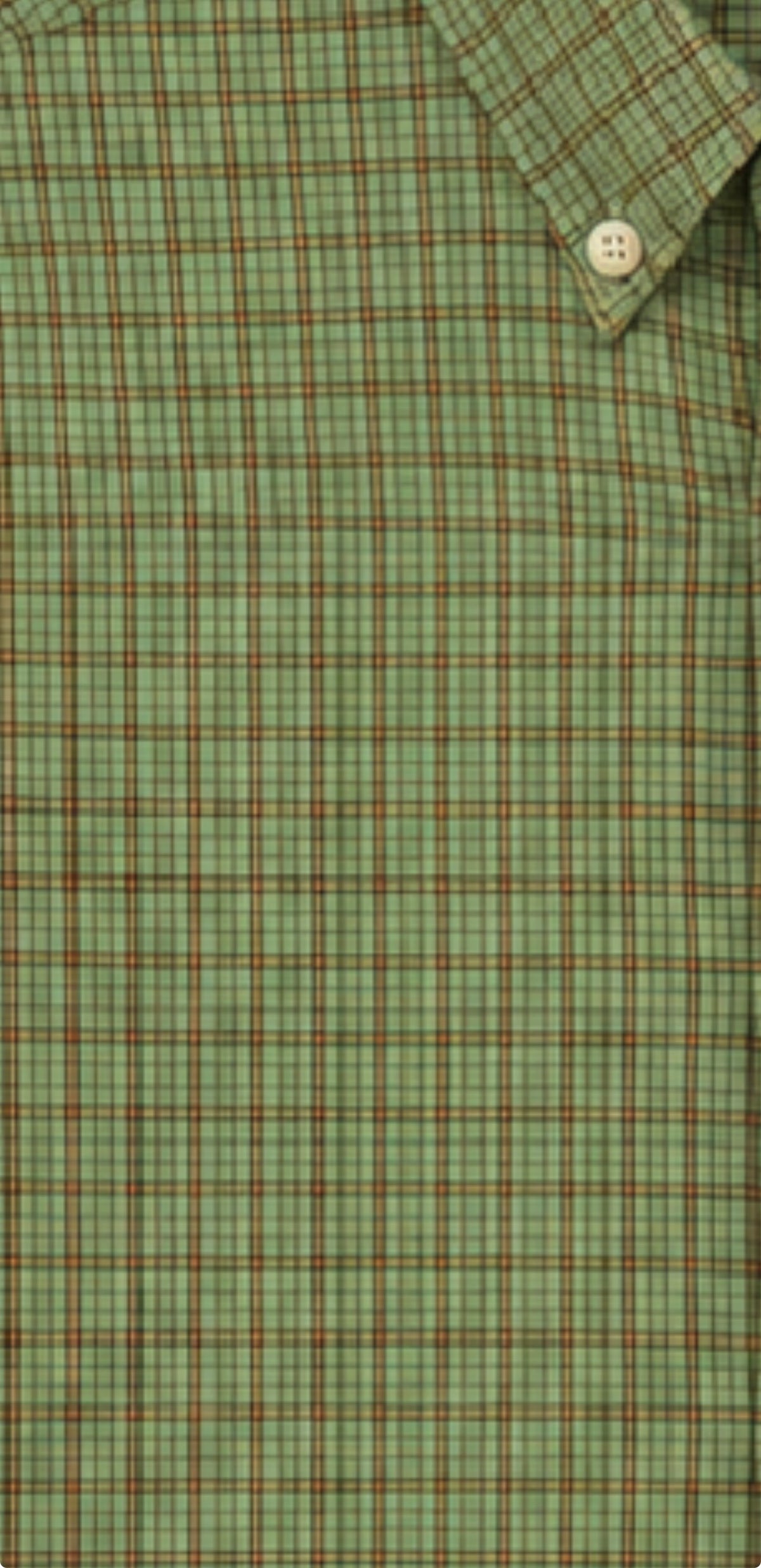 Pierfront Performance Buttondown - Evergreen Plaid