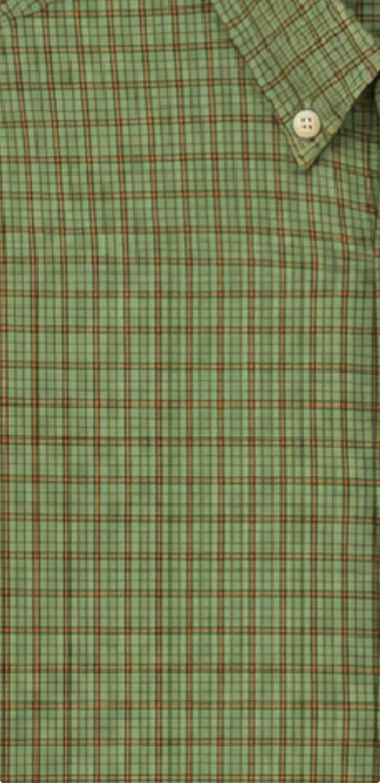 Pierfront Performance Buttondown - Evergreen Plaid