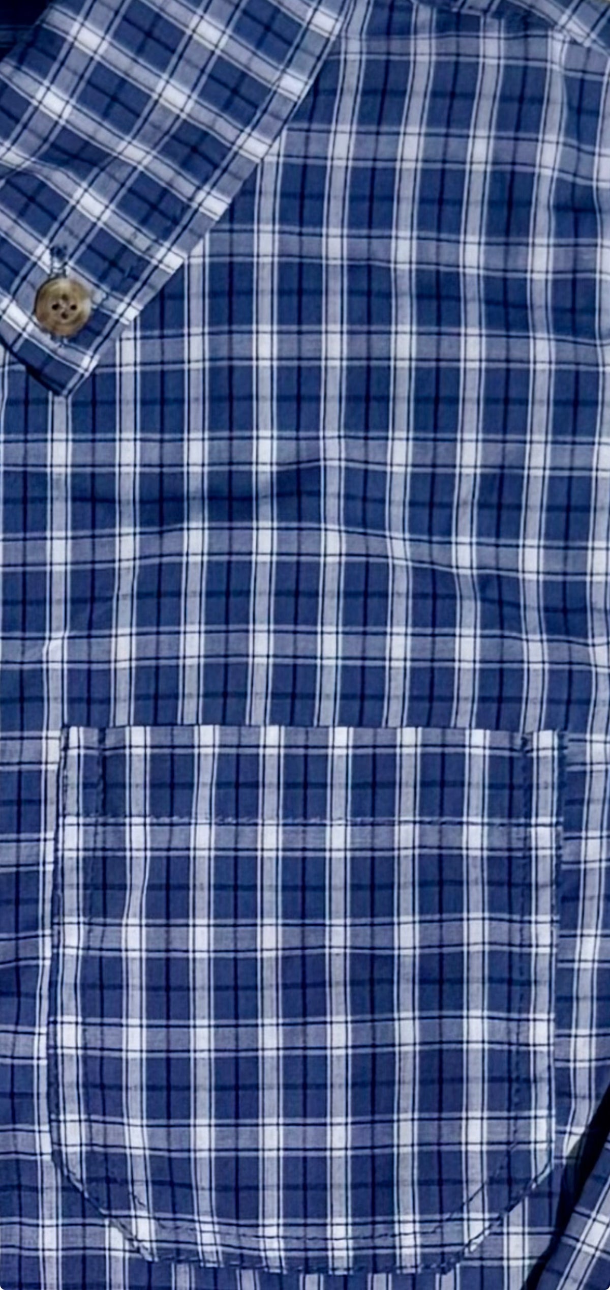 Pierfront Buttondown - Pelagic Plaid